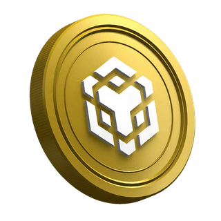 Pagina della guida per nuovi trader con la criptovaluta BNB